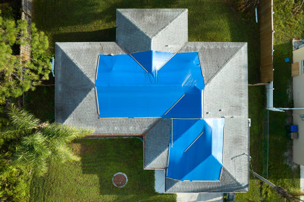 Best Solar Panel Roofing Installation  in West Homestead, PA