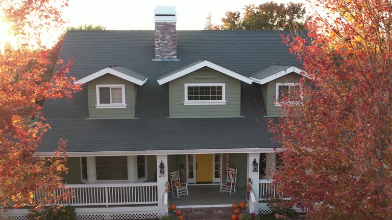 Best Roof Insulation Installation  in West Homestead, PA